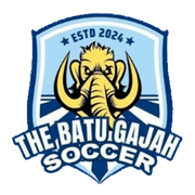TBGFC logo